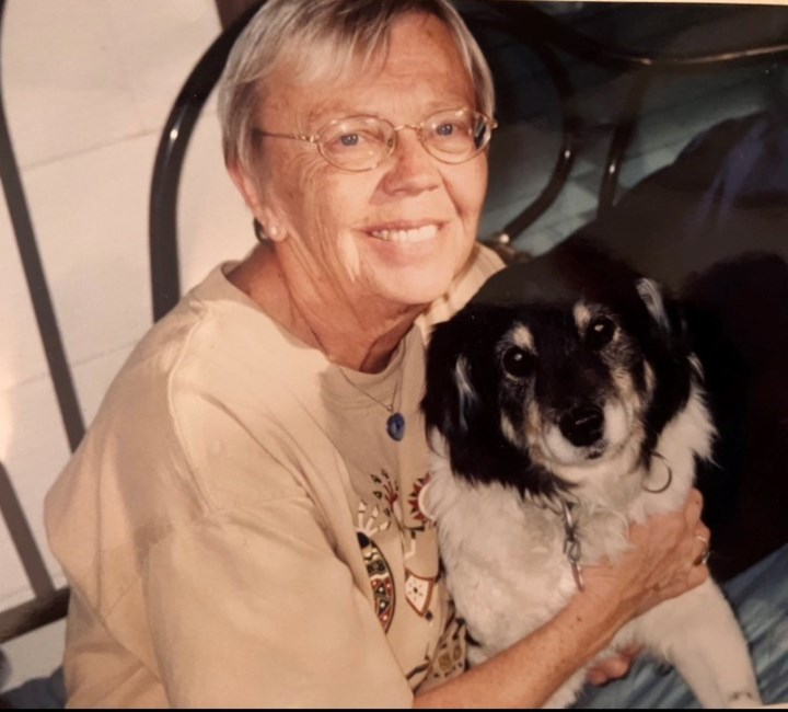 Obituary of Sandra Diane Hamberg
