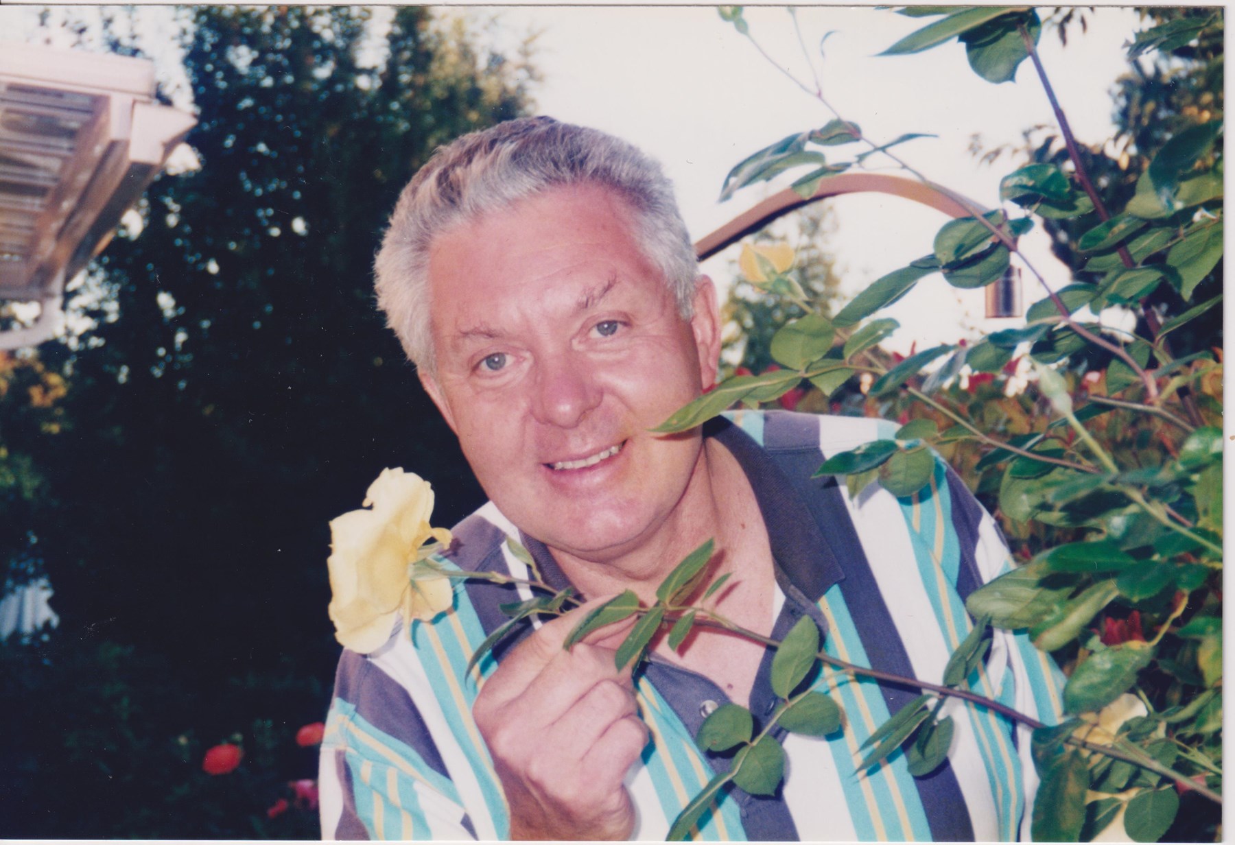 Obituary of Mike Scholz