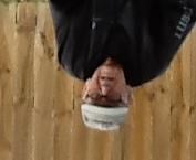 Obituary of Karl Ernst Rosenberger