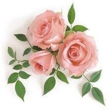 Obituary of Joanna Doris "Gammie" Schulze