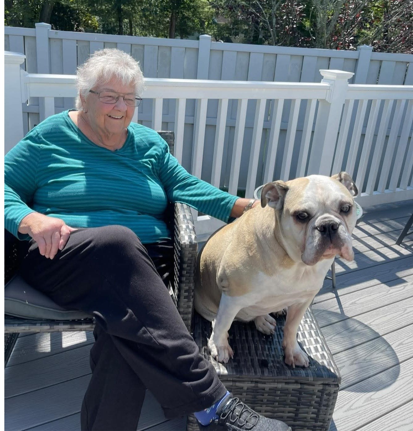 Obituary of Diane N. Stehlik