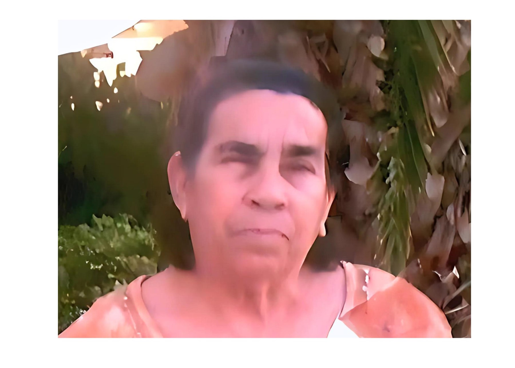 Obituary of Ana Mercedes Taveras Fernandez