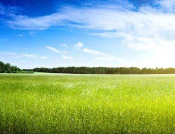 Obituary of Sylvia C. Ellison