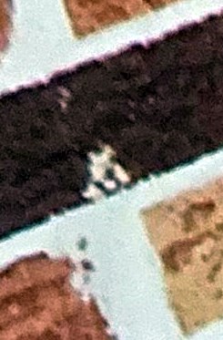 Luis "Armando" Rivera Obituary Tampa, FL Share Memory