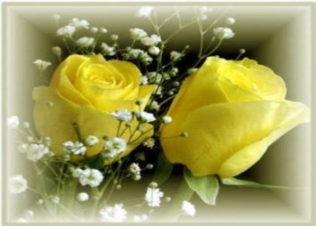 Obituary of Rosa Bradley