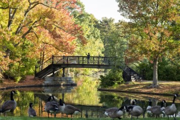 Obituary of Denise Pospisil Marciano