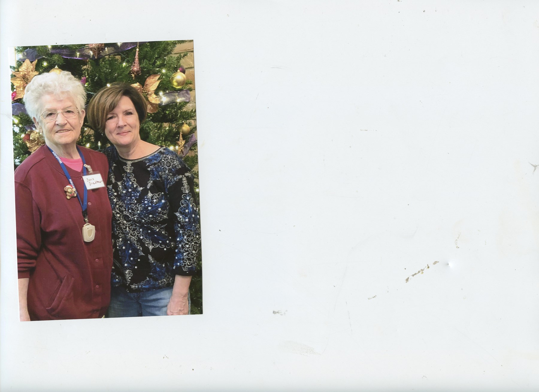 Obituary of Doris A. Schmidt-Bradtmueller