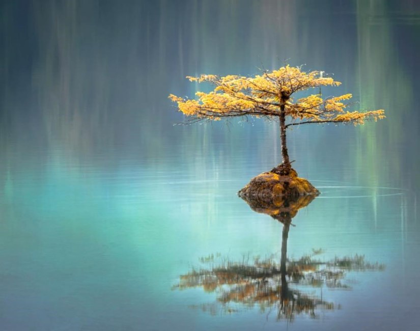 Obituary of Brandon Frances Hernandez