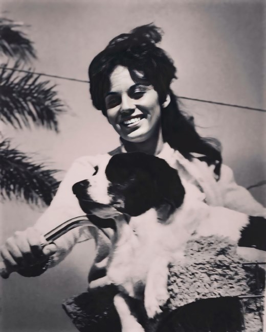 Obituary of Sandra Sue Wojciechowski