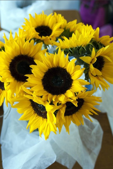 Obituary of Dolores Vestal