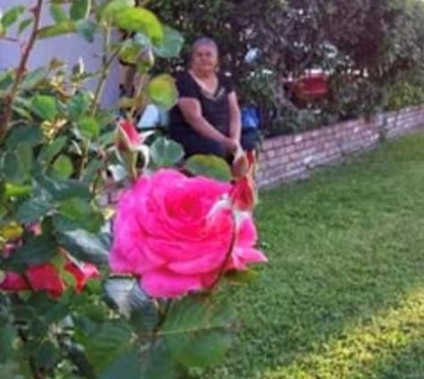 Obituario de Estela De Nolasco Gutierrez