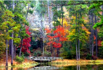 Obituary of Michael D. "Mike" Reid