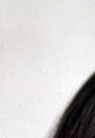 Diane Ann Hamelin Obituary Silver Spring MD diane-ann-hamelin-obituary-silver-spring-md