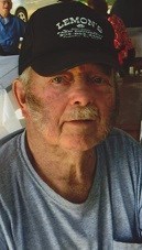 Obituary of Howard Leroy Degoines
