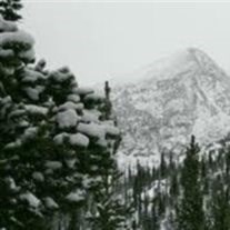 Obituary of Norine Margaret Holland