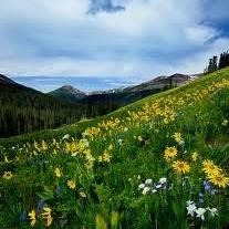 Obituary of Russell George Doyle