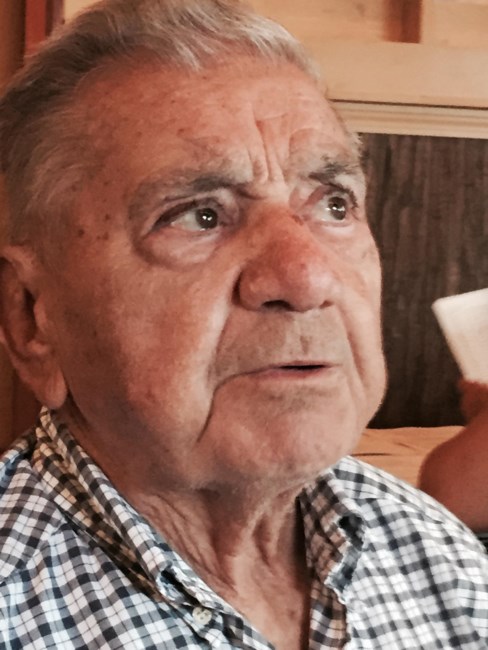 Obituary of Louis Amendola