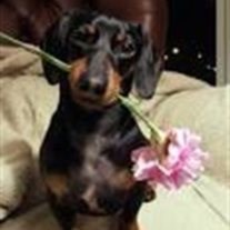 Obituary of Luther Algie George