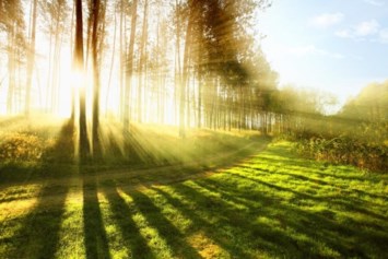 Avis de décès de Jennifer Ann Bond