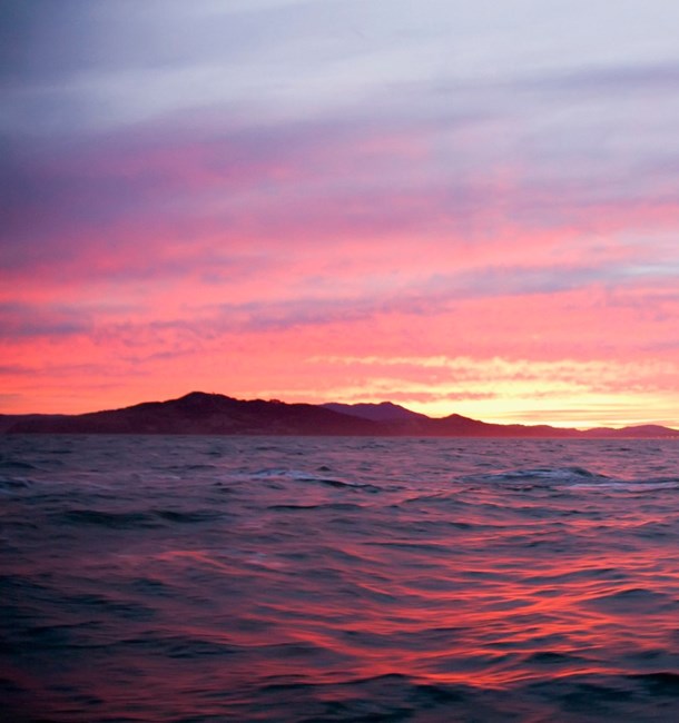 Obituary of Jean Harriet Robbins