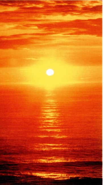 Obituary of Frederick Feldman