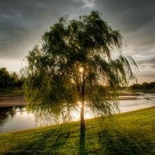 Obituary of James William Hoover Sr.