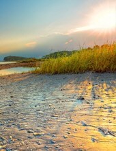 Obituary of Daniel Clinton Kaffka