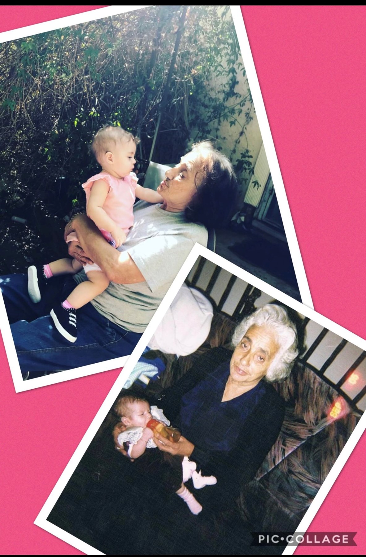 Obituary of Maria Joao Pereira