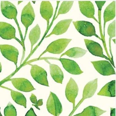 Avis de décès de Rudy Paul Diaz