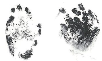 Obituary of Rafael Sandoval