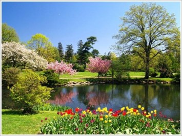 Obituary of David James Alexander Jr.