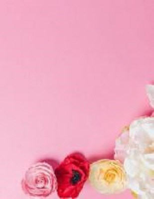 Obituary of Tracy Marie Jacobs