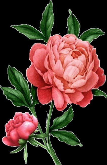 Obituary of Hazel Beatrice Martin