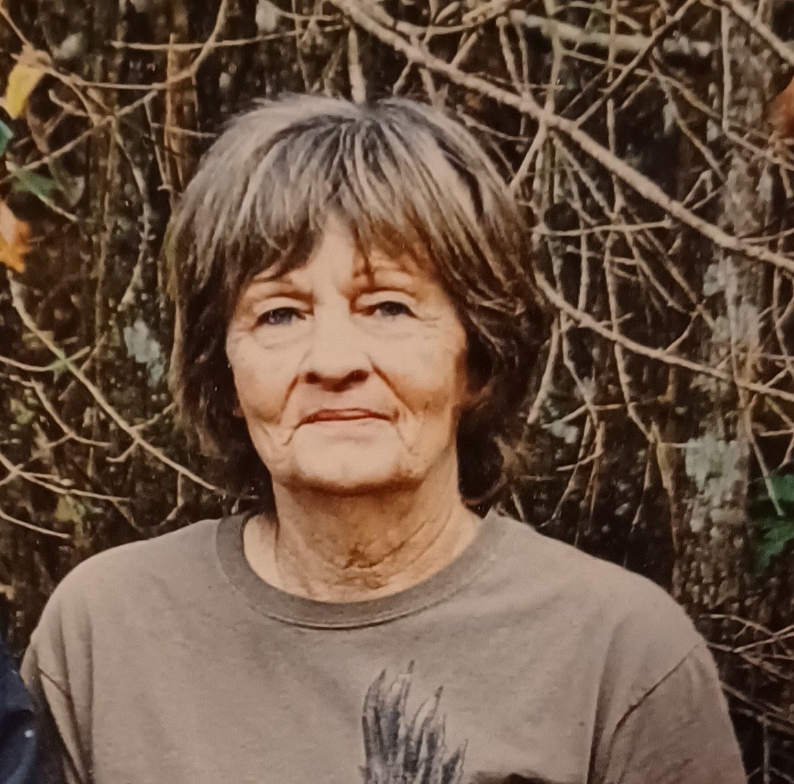 Obituary of Barbara Jean VaSalle