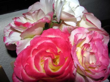 Obituary of Wanda Lee Paul