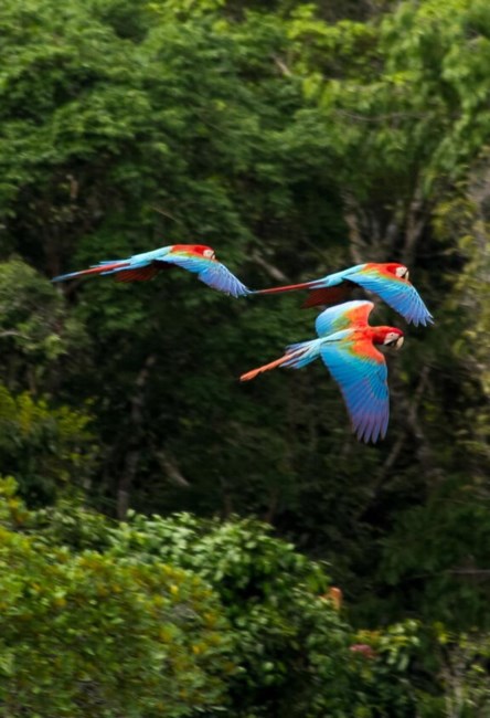 Obituary of Richard L Dixon