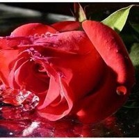 Obituary of April Dawn Moore