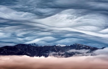 Obituary of Sharalyn Anne Drake