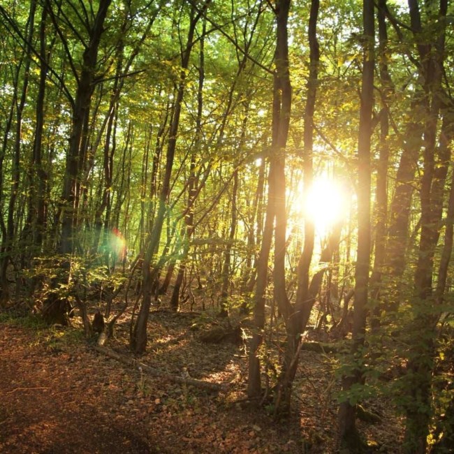 Obituary of Evalin M. Christopher