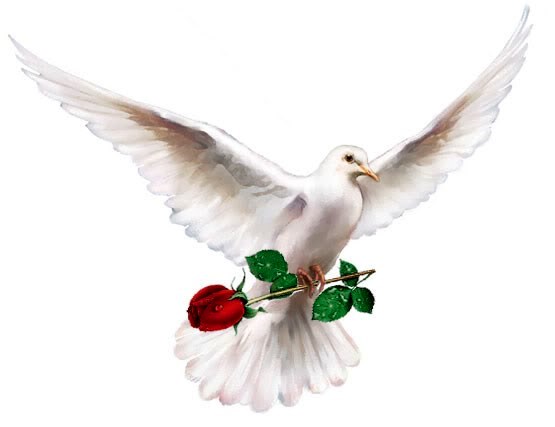 Obituary of Marjorie Frances Graham