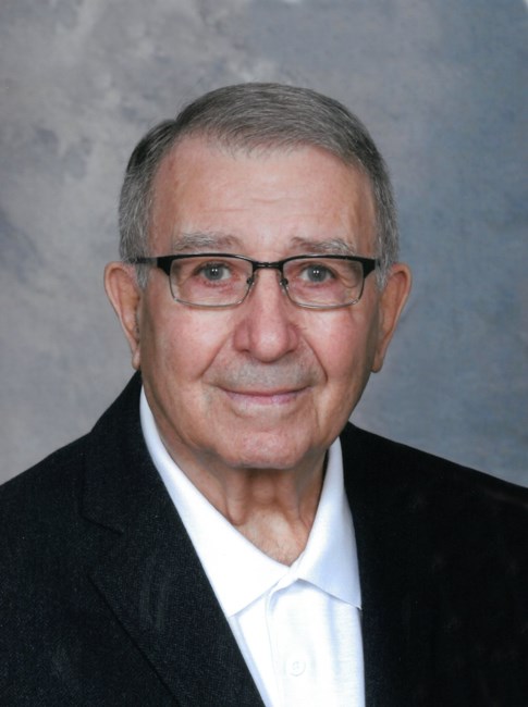 Obituary of Domenico "Dick" Romolo D’Amico