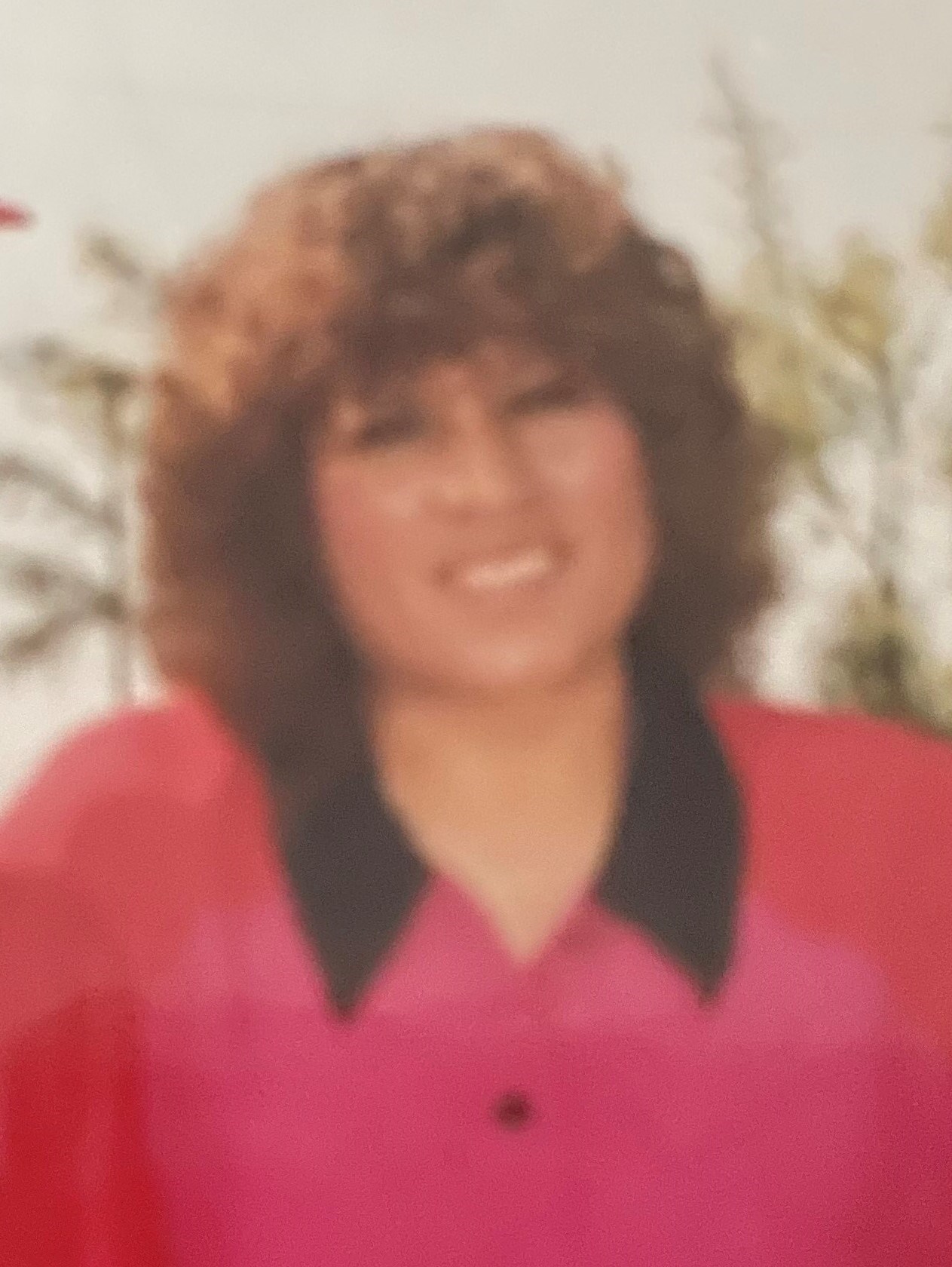 Obituary of Carolina Ramirez