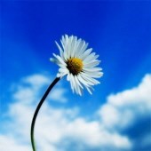 Obituary of Clair S. Hodges