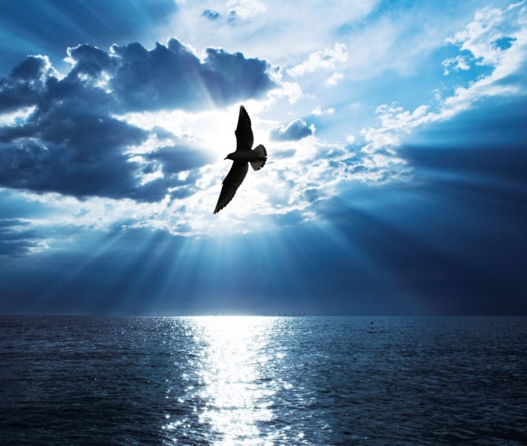 Obituary of Dolly Green