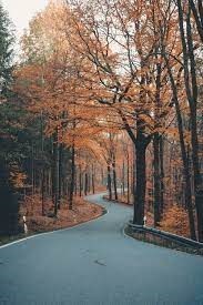 Obituary of Michael Claude Engelhardt