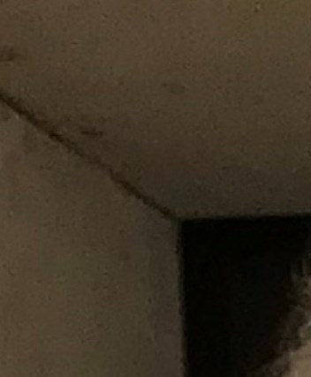 Ann H. Whiting Obituary - Austin, TX