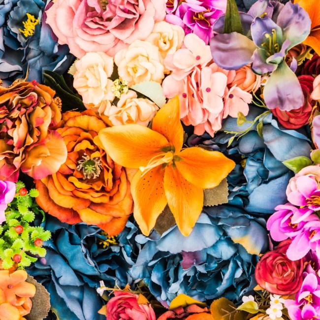 Obituary of Richard Michael Riccardi