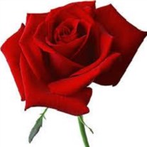 Obituary of Joshua David Bell