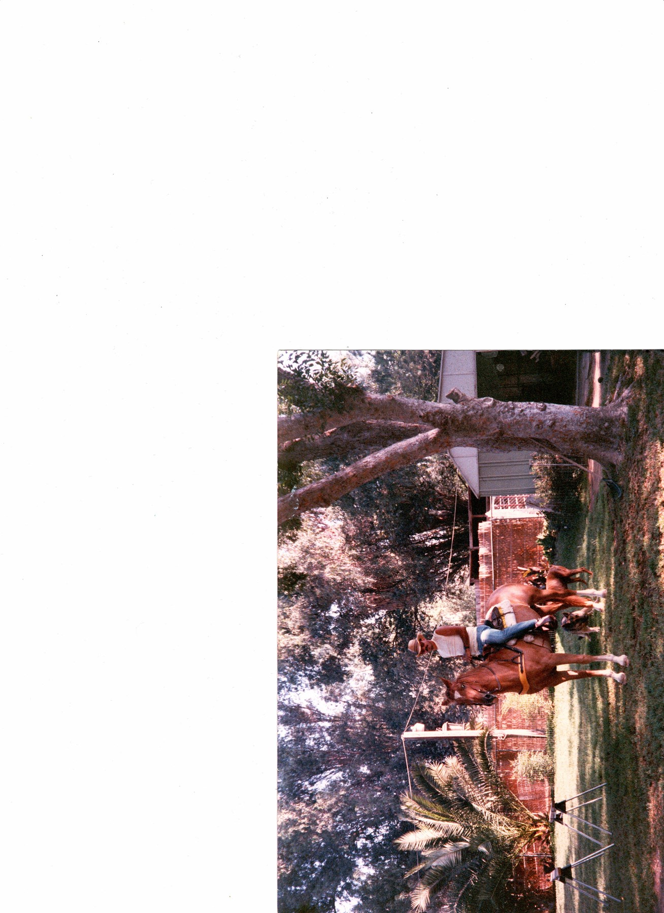 Obituary of Richard Marquez