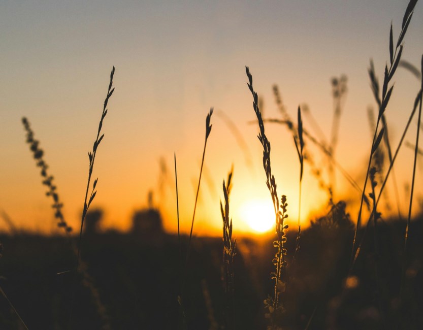 Obituary of Bon Tolbert